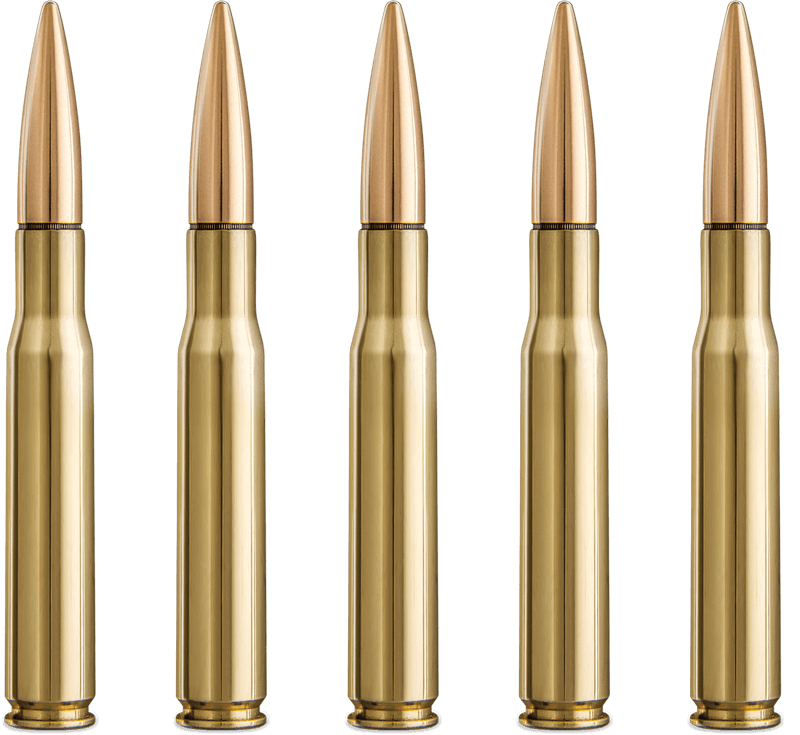 Five bullet rifle lineup
